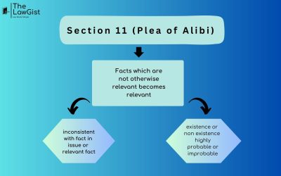 PLEA OF ALIBI