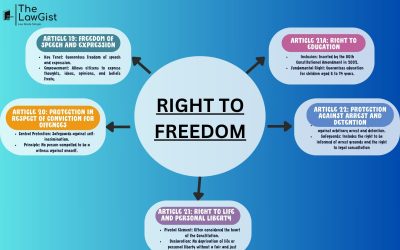 RIGHT TO FREEDOM (Articles 19-22)