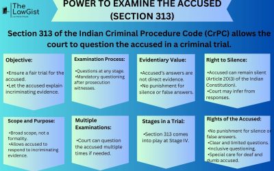POWER TO EXAMINE THE ACCUSED (SECTION 313)