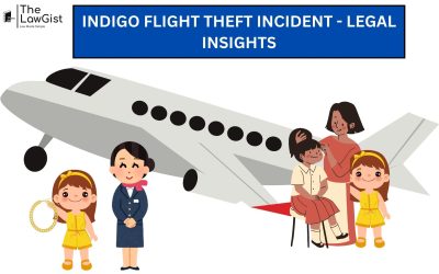 INDIGO FLIGHT THEFT INCIDENT – LEGAL INSIGHTS